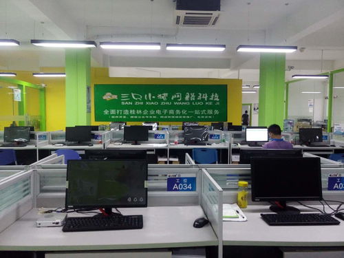 桂林三只小豬網(wǎng)絡(luò)科技 打造創(chuàng)新網(wǎng)絡(luò)技術(shù)開發(fā)解決方案